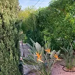 Bozena Casa vacanze Dénia