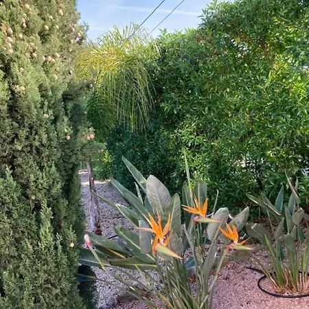 Bozena Vakantiehuis Dénia